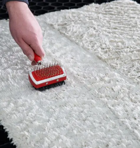 Carpet Cleaning